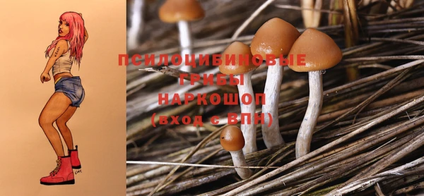 амф Алзамай
