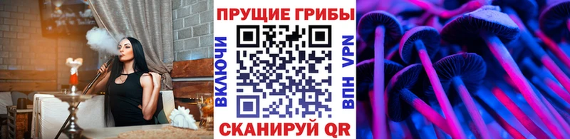 Галлюциногенные грибы MAGIC MUSHROOMS Хадыженск