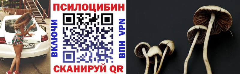 Галлюциногенные грибы мицелий  Хадыженск 